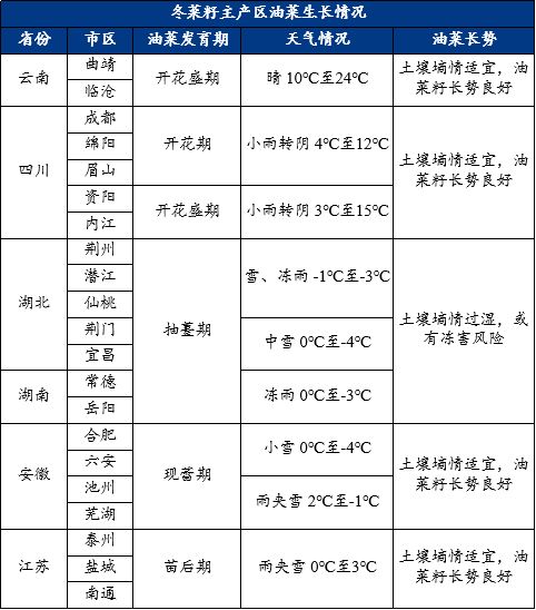 寒潮天气再次来袭 两湖菜籽面临减产风险